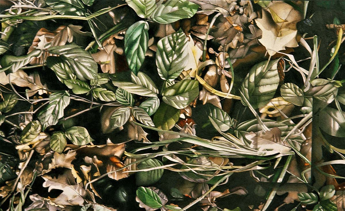 summer, autumn leaves