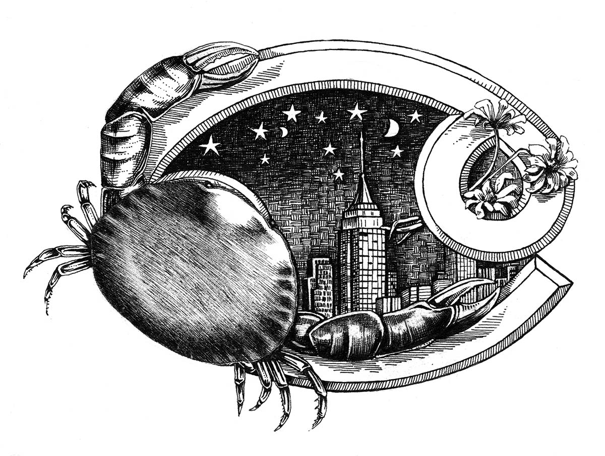 A crab, New York, flowers and stars