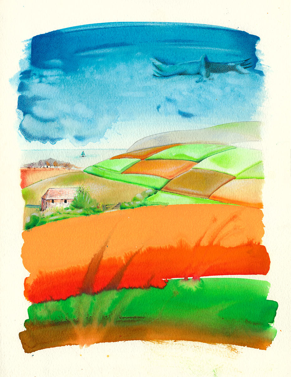 Fields with a cottage in the distance and a bird in the sky