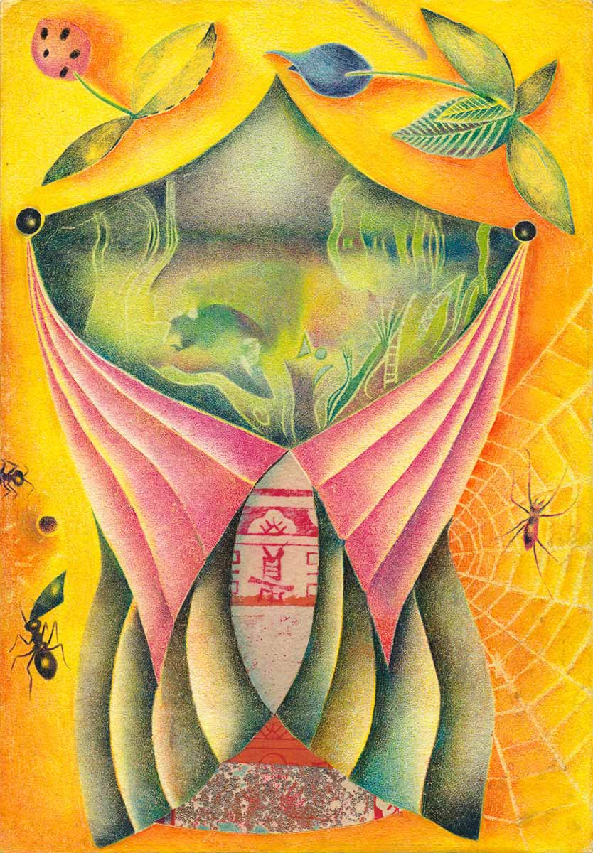 a stylised insect with plants and a spider web