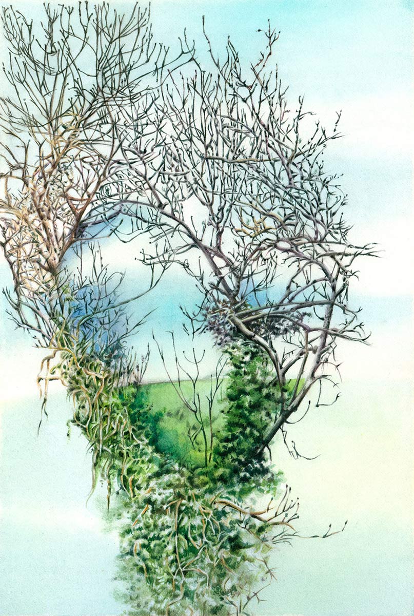 A tree in the shape of a heart