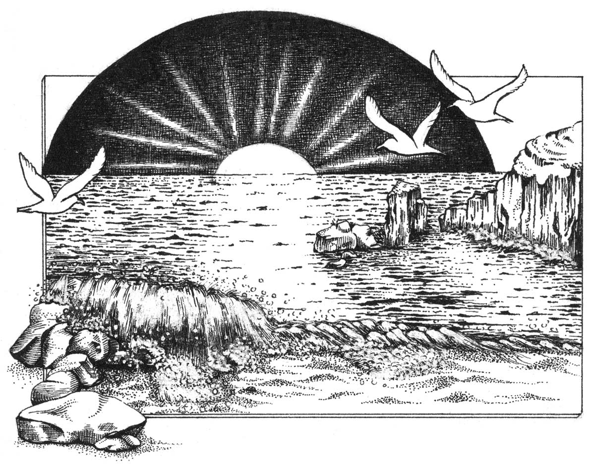 sun rays, waves over rocks and birds flying