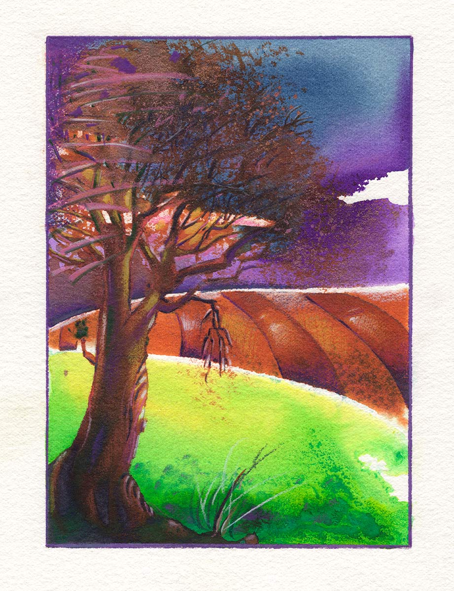 tree in a field