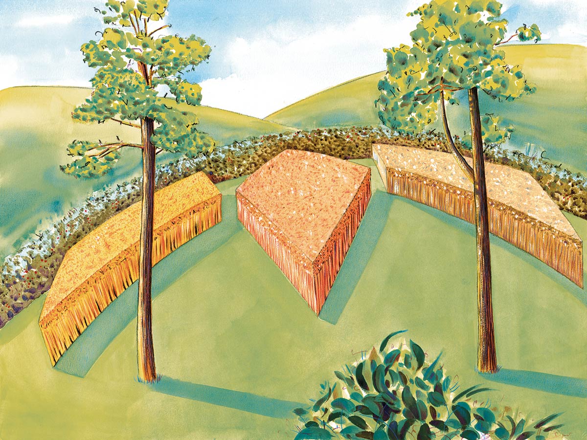 three square cornfields with trees and hills