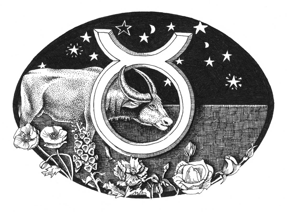 A cow, flowers and stars