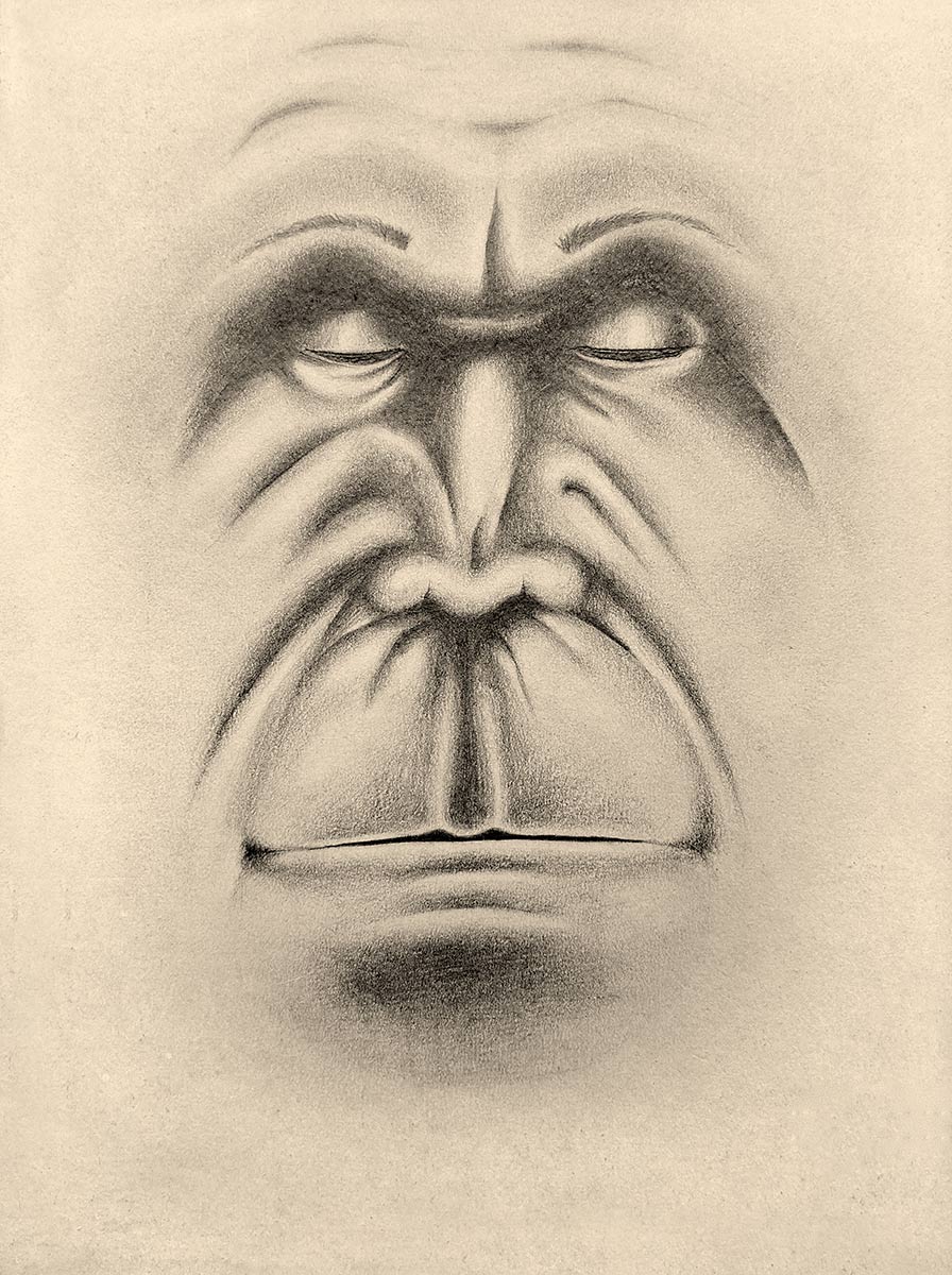 Drawing of metamorphosis between man and ape