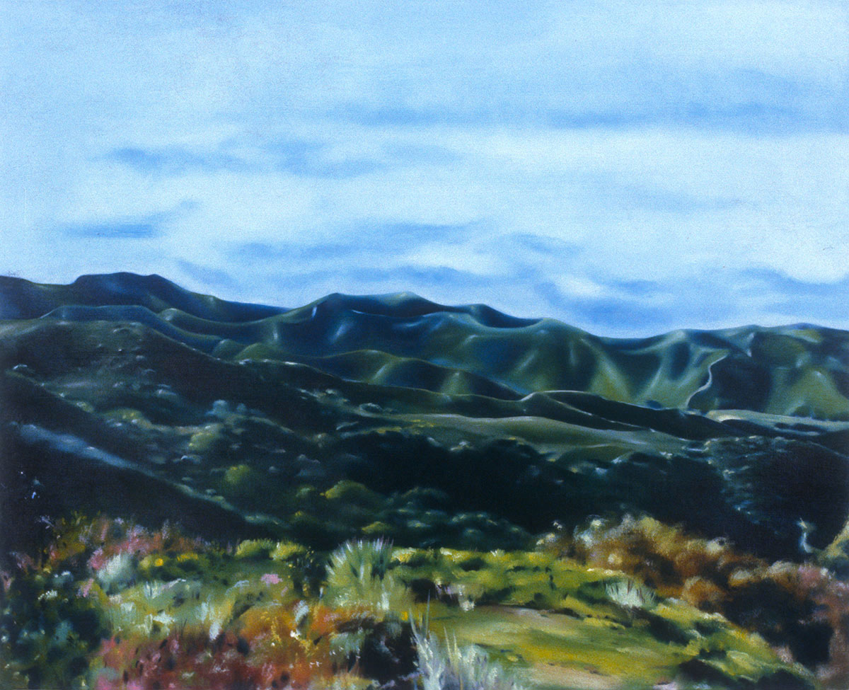 Landscape with hills in the distance and bushes in the foreground